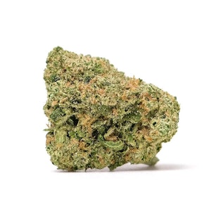 Wave Rider - Wave Rider | Kali Mist | 3.5g