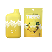 [TEMPO] ALL IN ONE VAPE - 1G - YUZU HAZE (S)
