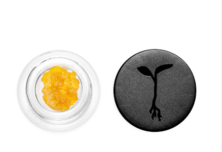 RAW GARDEN - [RAW GARDEN] LIVE RESIN - 1G - GRAPES & CREAM (I)