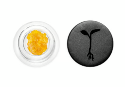 [RAW GARDEN] LIVE RESIN - 1G - ROSE (H)