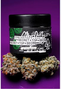 激ヤバ実生選抜 【 Loop plants 005 】 検 冰雹 麻花龍 悪魔 激ヤバ実生選抜 【 Loop plants 005 】 検 冰雹 麻花龍 悪魔 激ヤバ