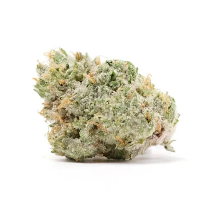 UpNorth - UpNorth | Florida Oranges | 3.5g