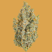 [HEIRBLOOM] FLOWER - 3.5G - DURBAN POISON (S)
