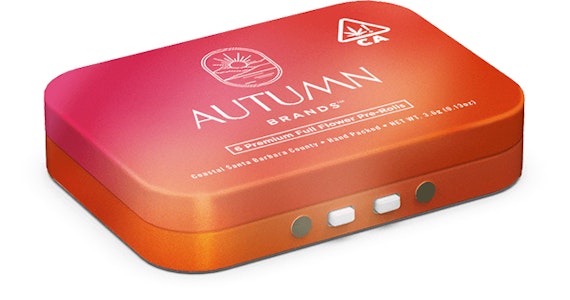 AUTUMN BRANDS - Purple Pizzazz 6pk