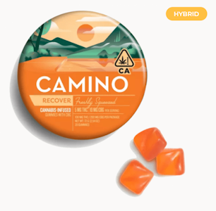 CAMINO - [CAMINO] CBG GUMMIES - 100MG - FRESHLY SQUEEZED RECOVER 2:1
