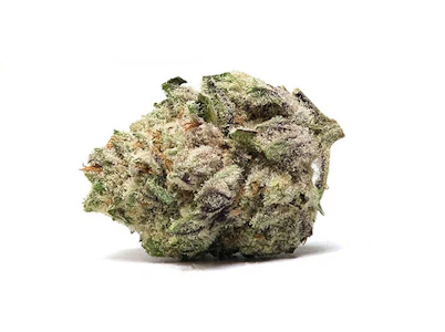 Wave Rider - Original Glue Smalls 7g