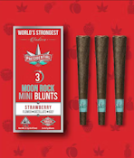 [PRESIDENTIAL] INFUSED MOON ROCK MINI BLUNT 3PK - 2.1G - Skywalker (I)