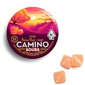 [CAMINO] CBD GUMMY - 100MG - ORCHARD PEACH SOURS CBD 1:1