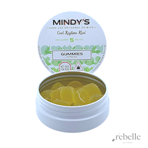 Mindy's - Keylime Kiwi Gummies | 20 pk | Mindys