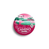 Camino Sours | Watermelon Spritz Gummies 100mg