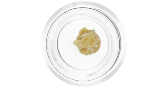 Pistil Whip - Motorbreath x Banana Punch Live Rosin Badder - 1g