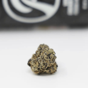 RUNTZ - Runtz | White Cherry Runtz | Flower