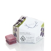 Marionberry Gummies 100mg