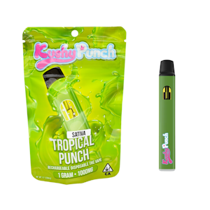 Kushy Punch - 1g Sativa Tropical Punch (All-in-One) - Kushy Punch