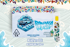 1g Bahaha Blast (Ready-to-Use) - Humble Root