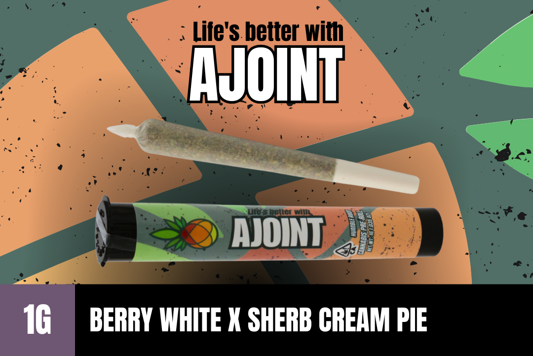 1g Berry White x Sherb Cream Pie Pre-Roll - Humble Root picture