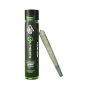 J1 (S) | 1g Diamond Infused Preroll | UpNorth