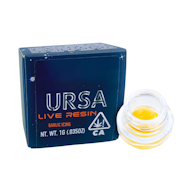 1g Garlic Icing Live Resin - URSA