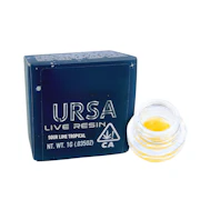 1g Golden Apple Live Resin - URSA