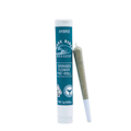 *xclusive* 1g Apple Fritter Pre-Roll - Wave Rider