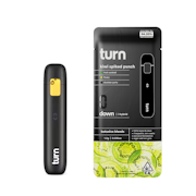 1g Kiwi Spiked Punch Botanica Blend Ready-to-Use (Turn Down) - Turn