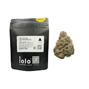3.5g Tropical Trainwreck (Indoor) - LOLO
