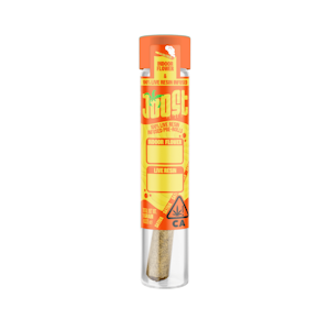 JOOST - 1g Mango Gold x Super Silver Haze Infused Pre-Roll - Joost