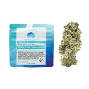 CannaTrust - 1g Orange Malt - CannaTrust