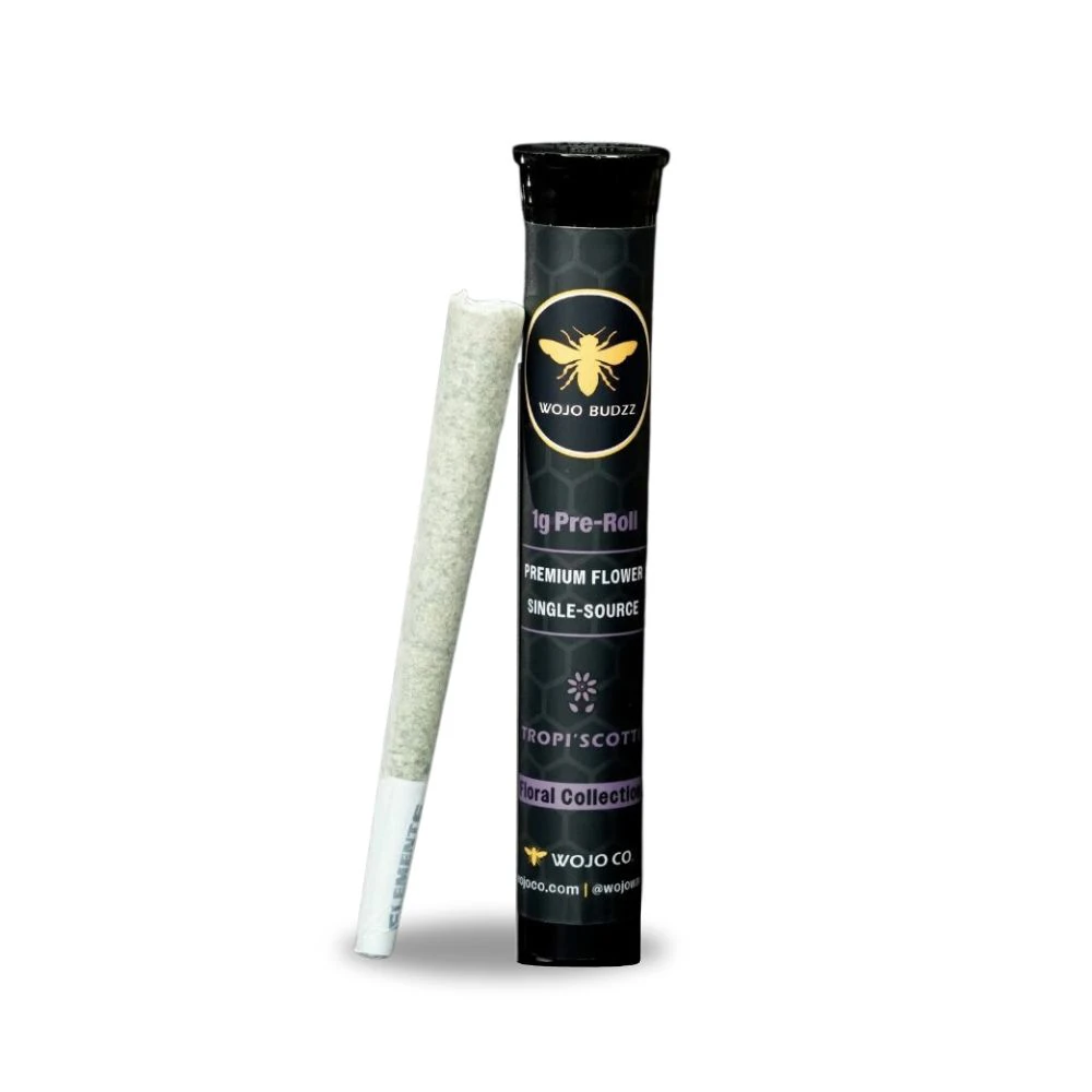 Wojo Co - Bloom Smoothie 1g Preroll - WOJO CO Main Image