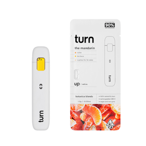 Turn - 1g The Mandarin Botanica Blend Disposable (Turn Up) - Turn