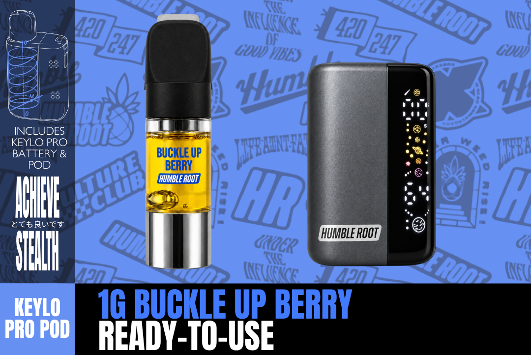 1g Buckle Up Berry (Ready-to-Use Keylo Pro) - Humble Root picture