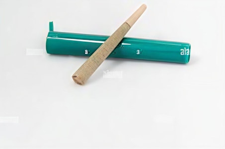 No Brand - BLZ  Baked Apple Fritter (.5g) Pre Roll Balanced Hybrid