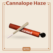 ROOTED - CANNALOPE HAZE 1 GRAM PRE-ROLL