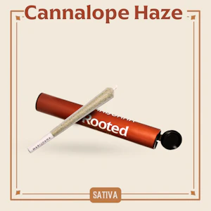 ROOTED - ROOTED - CANNALOPE HAZE 1 GRAM PRE-ROLL