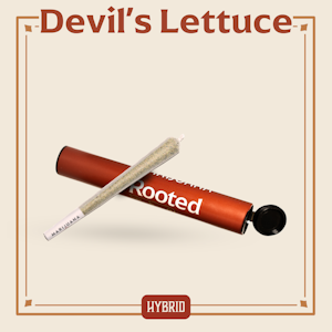 ROOTED - ROOTED - DEVILS LETTUCE 1 GRAM PRE-ROLL