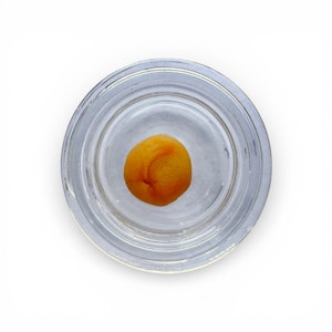 Berkshire Roots - OGKB 2.0 BX - 1g Live Badder - Berkshire Roots