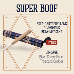 ELEVATE - ELEVATE - SUPER BOOF 1 GRAM PRE-ROLL