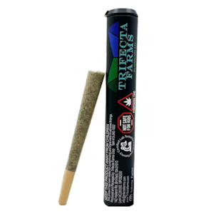 Trifecta Farms - Garlic Sherbert x Twisted Ice Cream - 1g - Trifecta Farms