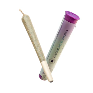 U4EA Farms - Pie Dough - 1g - U4EA Farms