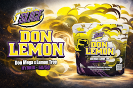 1Slice - Don Lemon - 22.1% THC - 3.5g - Dry Flower