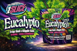 1Slice - Eucalypto - 21% THC - 3.5g - Dry Flower