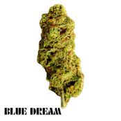 District 2- Blue Dream Deli
