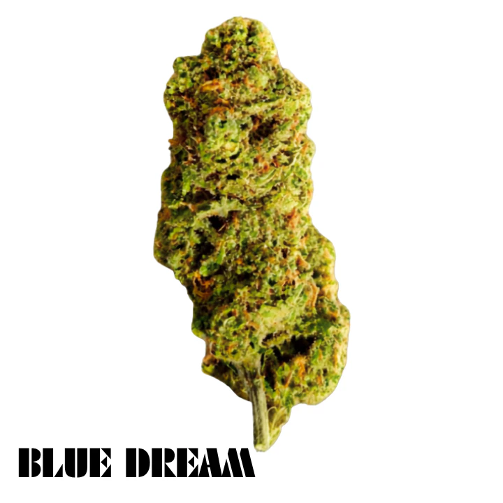 District - District 2- Blue Dream Deli Main Image
