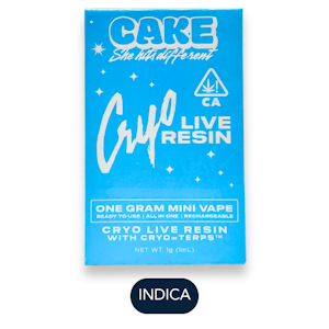 CAKE SHE HITS DIFFERENT - Cake - Live Resin - Skywalker Og - RTU - 1.0g