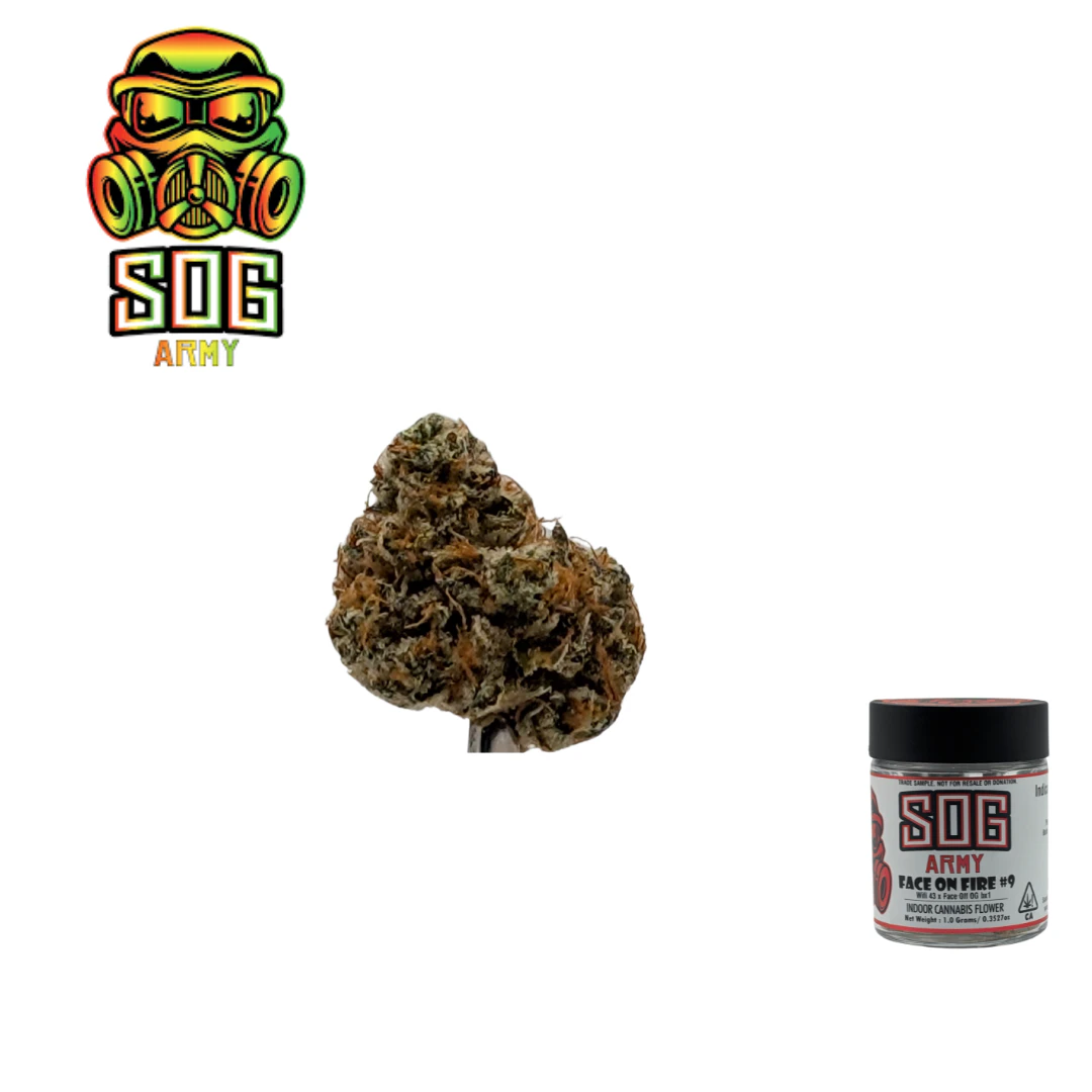 SOG ARMY - Face on Fire #9 Main Image