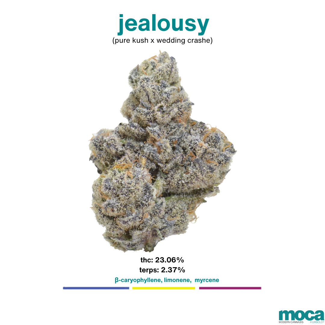 MOCA Flowers - 1/8th Jar - Jealousy