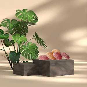 Five - FIVE | THC/CBD Full-Spectrum Gummies 125mg