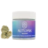 Product Preview Image 2