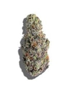 Biker Kush | Common Citizen | Bulk Flower