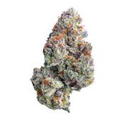 ZuZu Fruit Smalls | Freedom Green Farms | Bulk Flower